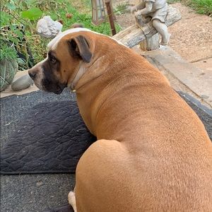 Meet your Posher, Reid